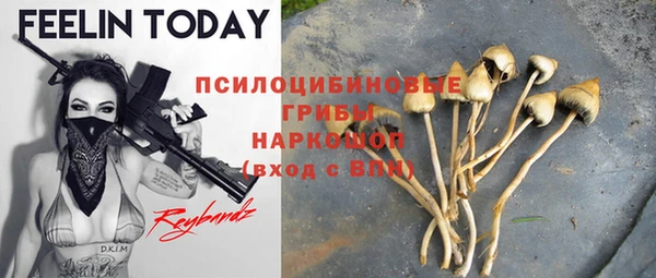 мескалин Новозыбков